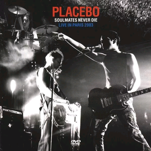 免费女人18a级毛片视频
