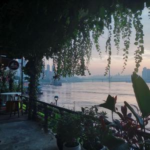 免费女人18a级毛片视频
