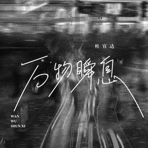 免费女人18a级毛片视频
